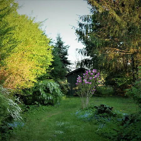 Holiday home Dom Na Wzgorzu