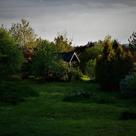 Dom Na Wzgorzu * Skolity